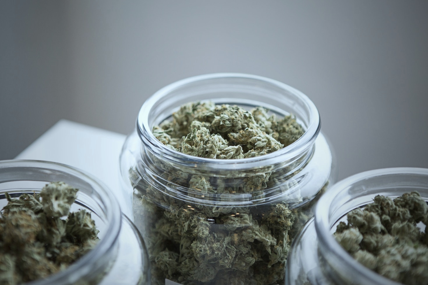 Understanding Exotic Genetics in Cannabis Breeding